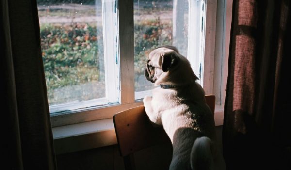 jana-shnipelson-uYSxVSwuJkw-unsplash